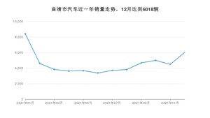 12月曲靖市汽车销量情况如何? 五菱宏光排名第一(2021年)