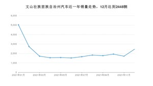 12月文山壮族苗族自治州汽车销量情况如何? 五菱宏光S3排名第一(2021年)