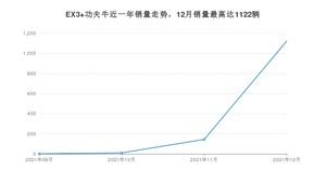 2021年12月几何汽车EX3 功夫牛销量多少？ 在哪个城市卖得最好？