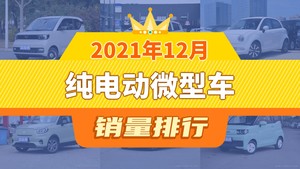 2021年12月纯电动微型车销量排行榜，宏光MINI EV以45745辆夺冠，QQ冰淇淋升至第6名 