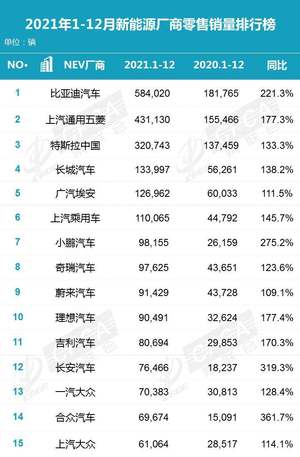 新能源品牌2021年销量与主力车型盘点