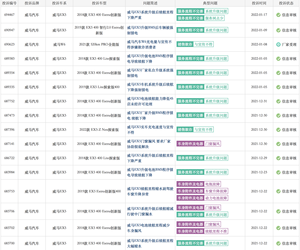 迷途威马，路向何方？