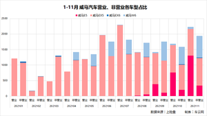 迷途威马，路向何方？