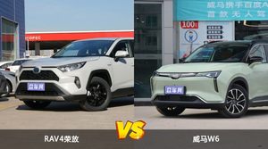 RAV4荣放和威马W6哪个好？哪款车动力更强？