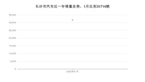 1月长沙市汽车销量数据统计 朗逸排名第一(2022年)