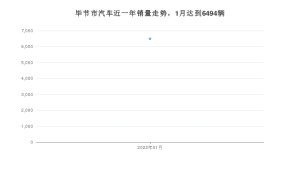 毕节市1月汽车销量数据发布 五菱宏光排名第一(2022年)