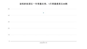 2022年1月大众途锐新能源销量多少？ 在哪个城市卖得最好？