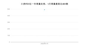 2022年1月小虎FEV销量多少？ 在哪个城市卖得最好？