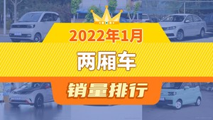 2022年1月两厢车销量排行榜，宏光MINI EV夺得冠军，第二名差距也太大了 