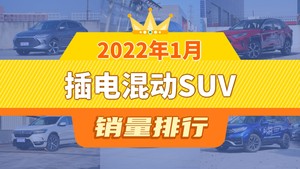 2022年1月插电混动SUV销量排行榜，唐新能源位居第二，第一名你绝对想不到