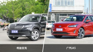 柯迪亚克和广汽iA5哪个更值得入手？哪款车的用户评价更高？