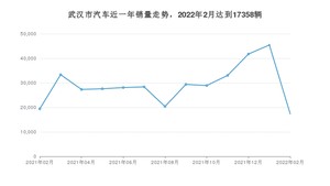 2月武汉市汽车销量数据统计 Model Y排名第一(2022年)