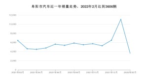 阜阳市2月汽车销量 五菱宏光排名第一(2022年)