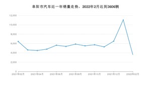 阜阳市2月汽车销量 五菱宏光排名第一(2022年)