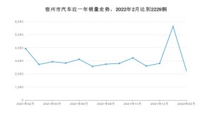 2月宿州市汽车销量情况如何? 五菱宏光排名第一(2022年)