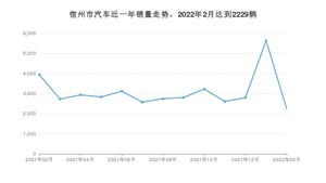 2月宿州市汽车销量情况如何? 五菱宏光排名第一(2022年)