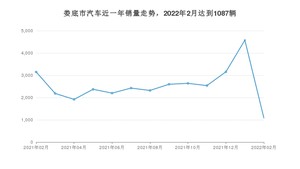 娄底市2月汽车销量统计 五菱宏光排名第一(2022年)