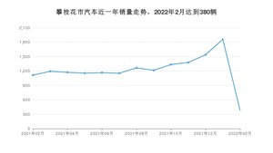 攀枝花市2月汽车销量 秦新能源排名第一(2022年)