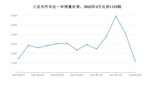 三亚市2月汽车销量 海马7X排名第一(2022年)