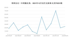 特斯拉 2月份销量数据发布 同比增长32.01%(2022年)