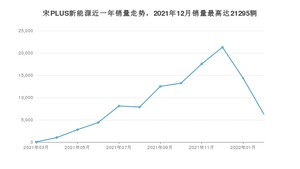 2022年2月比亚迪宋PLUS新能源销量多少？ 在哪个城市卖得最好？