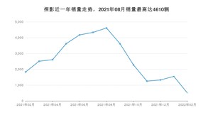2022年2月大众探影销量多少？ 在哪个城市卖得最好？
