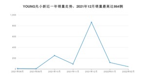 2022年2月电动屋YOUNG光小新销量多少？ 在哪个城市卖得最好？