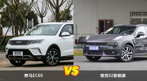 野马EC60和领克02新能源哪个好？哪款车动力更强？