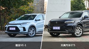 理念VE-1和天美汽车ET5哪个好？哪款车动力更强？