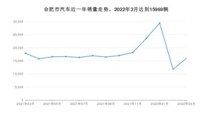 3月合肥市汽车销量数据统计 Model Y排名第一(2022年)