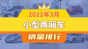 2022年3月小型两厢车销量排行榜，海豚夺得冠军，第二名差距也太大了 