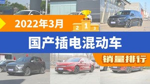 2022年3月国产插电混动车销量排行榜，秦Pro新能源位居第二，第一名你绝对想不到