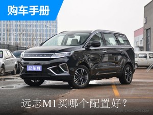 远志M1买哪个配置好？一分钟让你明白怎么选！