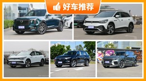 6座SUV25万左右哪款好？要大空间，还要动力强，购车指数为你指路