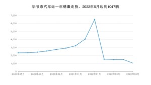 5月毕节市汽车销量数据统计 比亚迪e3排名第一(2022年)