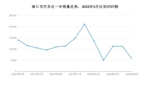 海口市5月汽车销量统计 零跑T03排名第一(2022年)