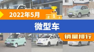 2022年5月微型车销量排行榜，小蚂蚁位居第二，第一名你绝对想不到