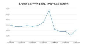 亳州市6月汽车销量统计 小蚂蚁排名第一(2022年)