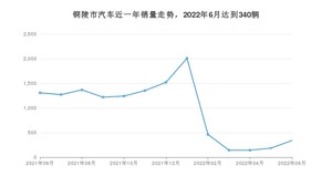 铜陵市6月汽车销量数据发布 小蚂蚁排名第一(2022年)