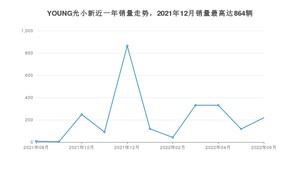 2022年6月电动屋YOUNG光小新销量数据发布 共卖了219台