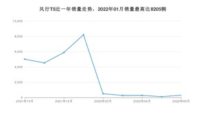 2022年6月东风风行风行T5销量多少？ 在哪个城市卖得最好？