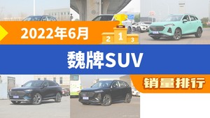 2022年6月魏牌SUV销量排行榜，玛奇朵屈居第三