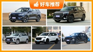 6座SUV10万左右哪款好？要大空间，还要动力强，购车指数为你指路