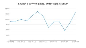 嘉兴市7月汽车销量数据发布 Model Y排名第一(2022年)