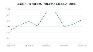 2022年7月奇瑞小蚂蚁销量如何？ 在微型车车型中排名怎么样？