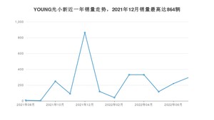 2022年7月电动屋YOUNG光小新销量多少？ 在哪个城市卖得最好？