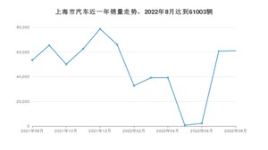 上海市8月汽车销量数据发布 Model Y排名第一(2022年)