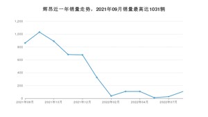 2022年8月大众辉昂销量多少？ 在哪个城市卖得最好？