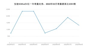 2022年8月宝骏KiWi EV销量多少？ 在哪个城市卖得最好？