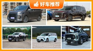 上汽大通31万左右的车型推荐，上汽大通MAXUS G90舒适性、油耗、操控表现最优秀，上汽大通MAXUS MIFA 9动力最强